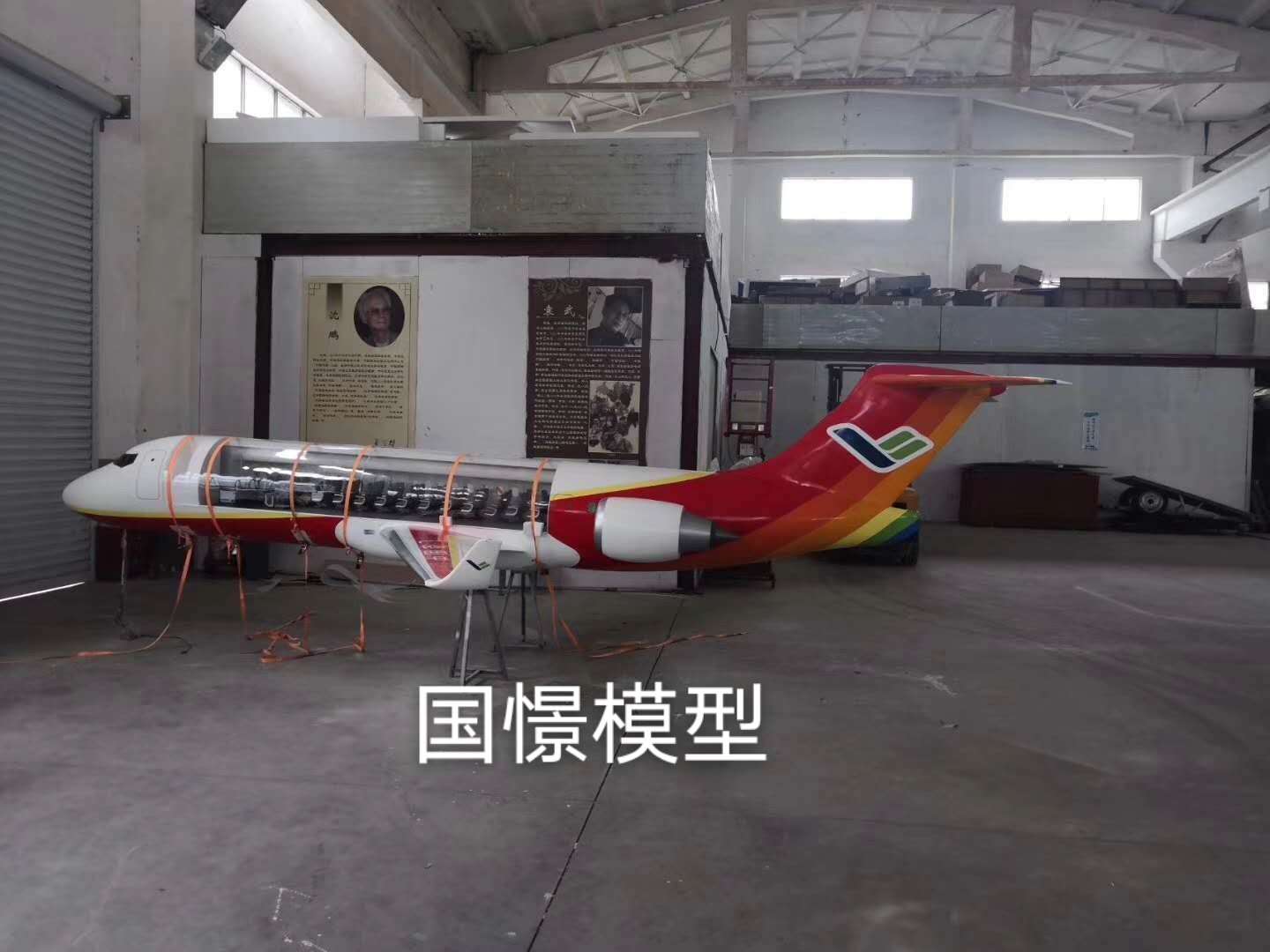 朗县飞机模型