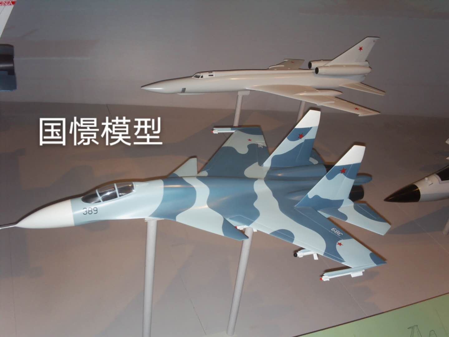 朗县军事模型